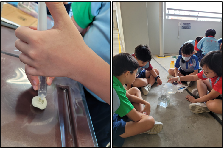 Investigating the relationship between 1 millilitre and 1 cubic centimetre through hands-on exploration